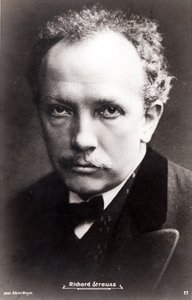 Richard Strauss de Albert Meyer